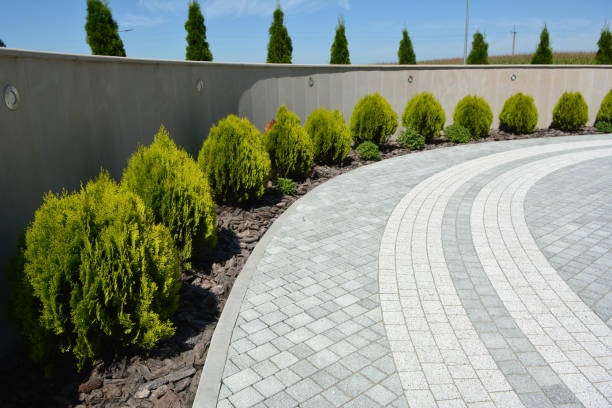 Best Best Driveway Pavers  in Atoka, NM